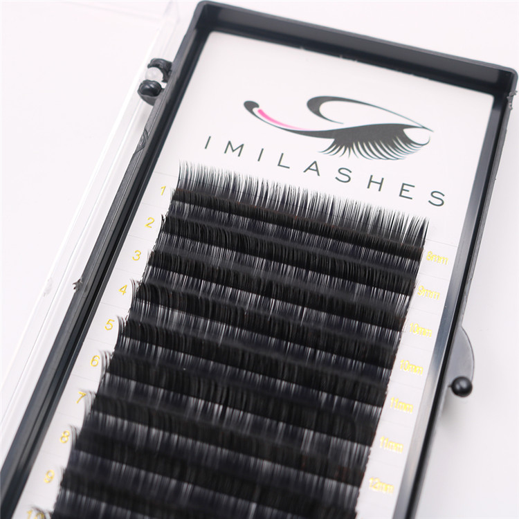 Eyelash extension class and full eyelash extensions-D